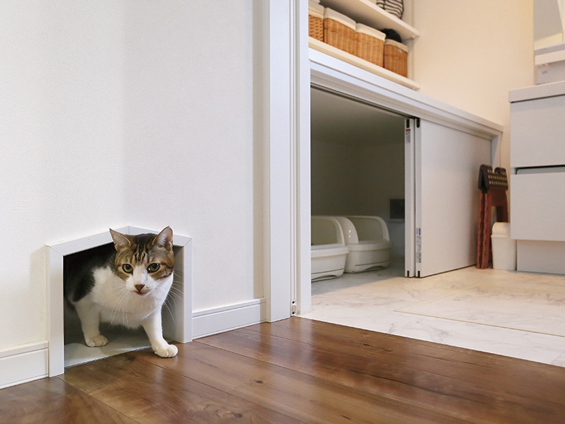 写真：扉付きの猫トイレ置場