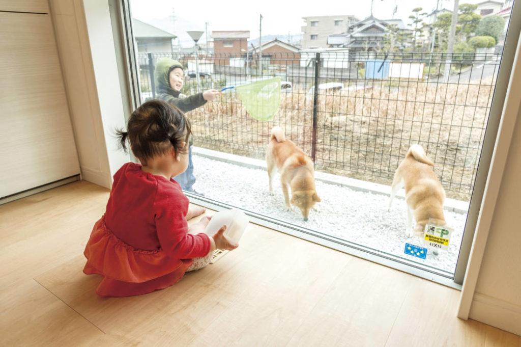 写真：家の周囲に作ったドッグランのような通路